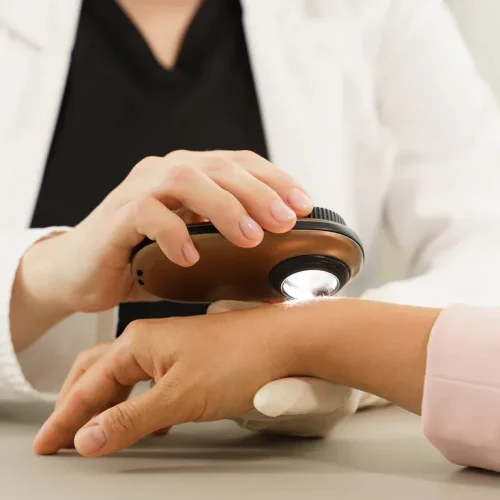 imgi_1_iStock-1356247710_1